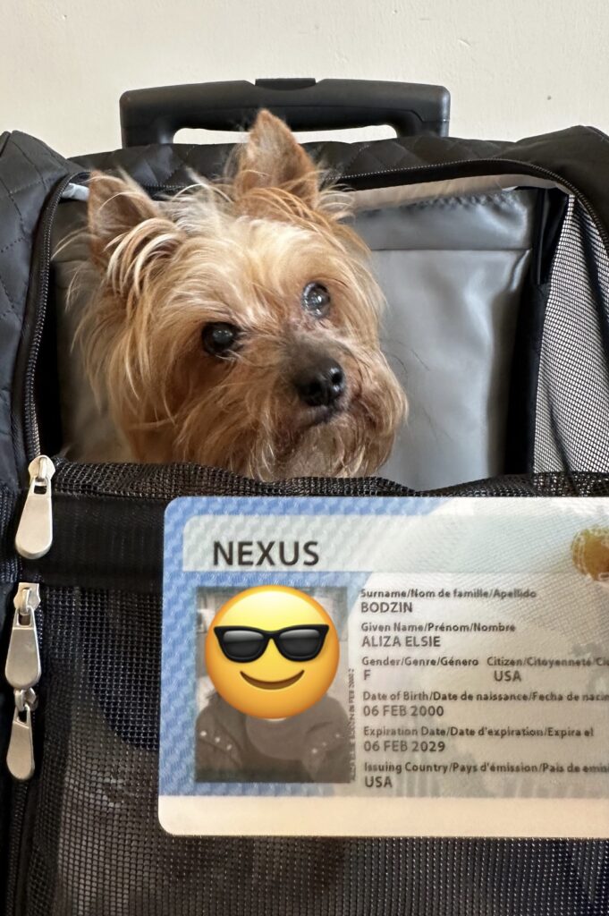 NEXUS Card with a smiling sunglass emoji in front of a Yorkshire Terrier inside of a travel carrier